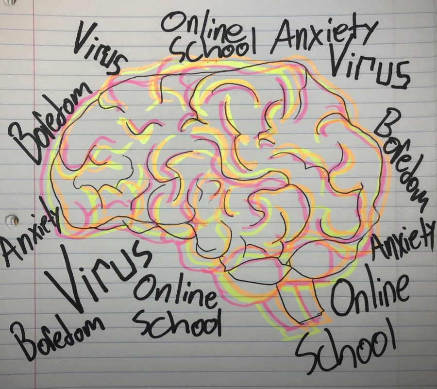 With all of this isolation, there’s a lot of time to invest in hobbies that you may not have otherwise had the space for in your schedule. Some people have even taken up new hobbies during the quarantine. “I’ve started drawing a lot more,” freshman Jaden Givens said.