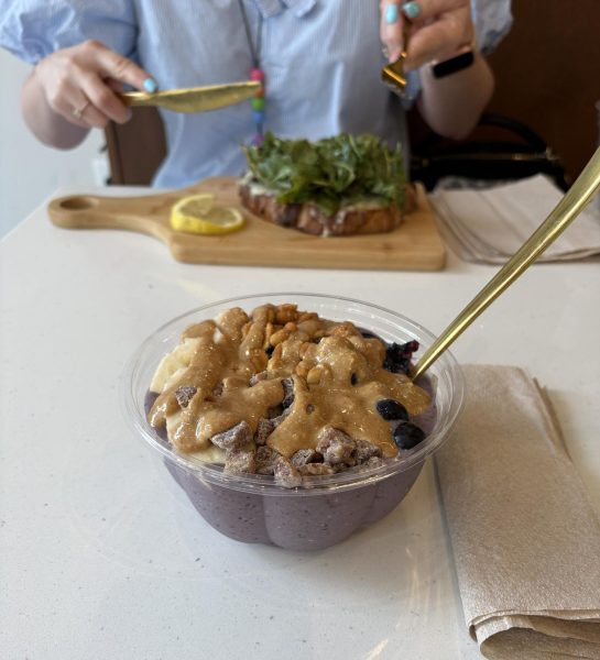Smoothie bowl from Toastique in Annapolis. This smoothie bowl is called the PB and B bowl, featuring a base of acai and peanut butter blend, topped with bananas, blueberries, peanuts, dates, and peanut butter. This bowl usually also features granola but was modified for this particular order.